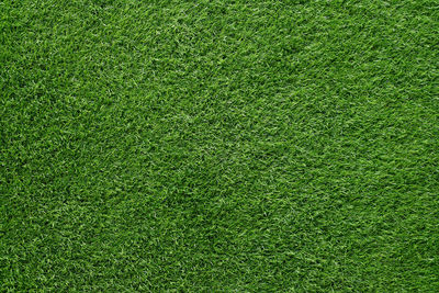 Green grass background, artificial grass on soccer field