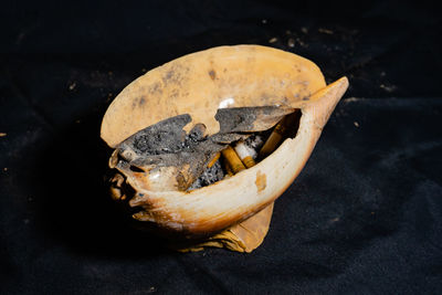 Cigarette ashtray made of seashells