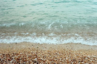 Scenic view of beach