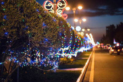 Illuminated christmas tree at night