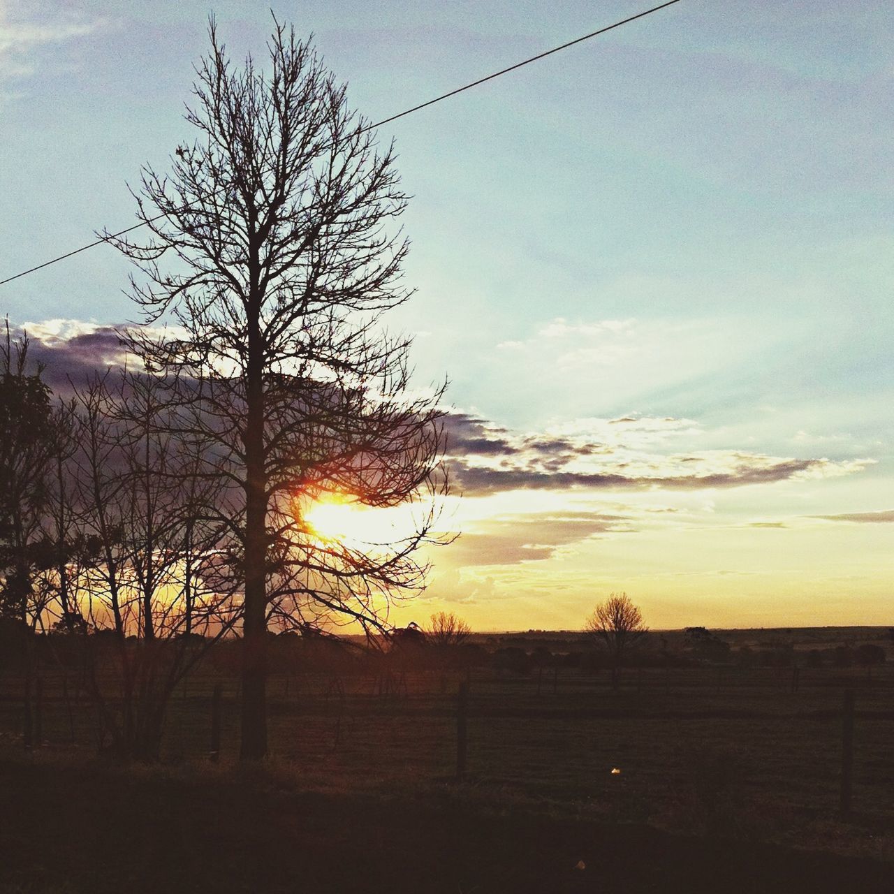 sunset, silhouette, bare tree, sky, tranquility, tranquil scene, scenics, tree, sun, landscape, beauty in nature, nature, branch, field, cloud - sky, idyllic, orange color, sunlight, cloud, no people