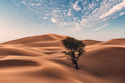 Scenic view of desert against sky