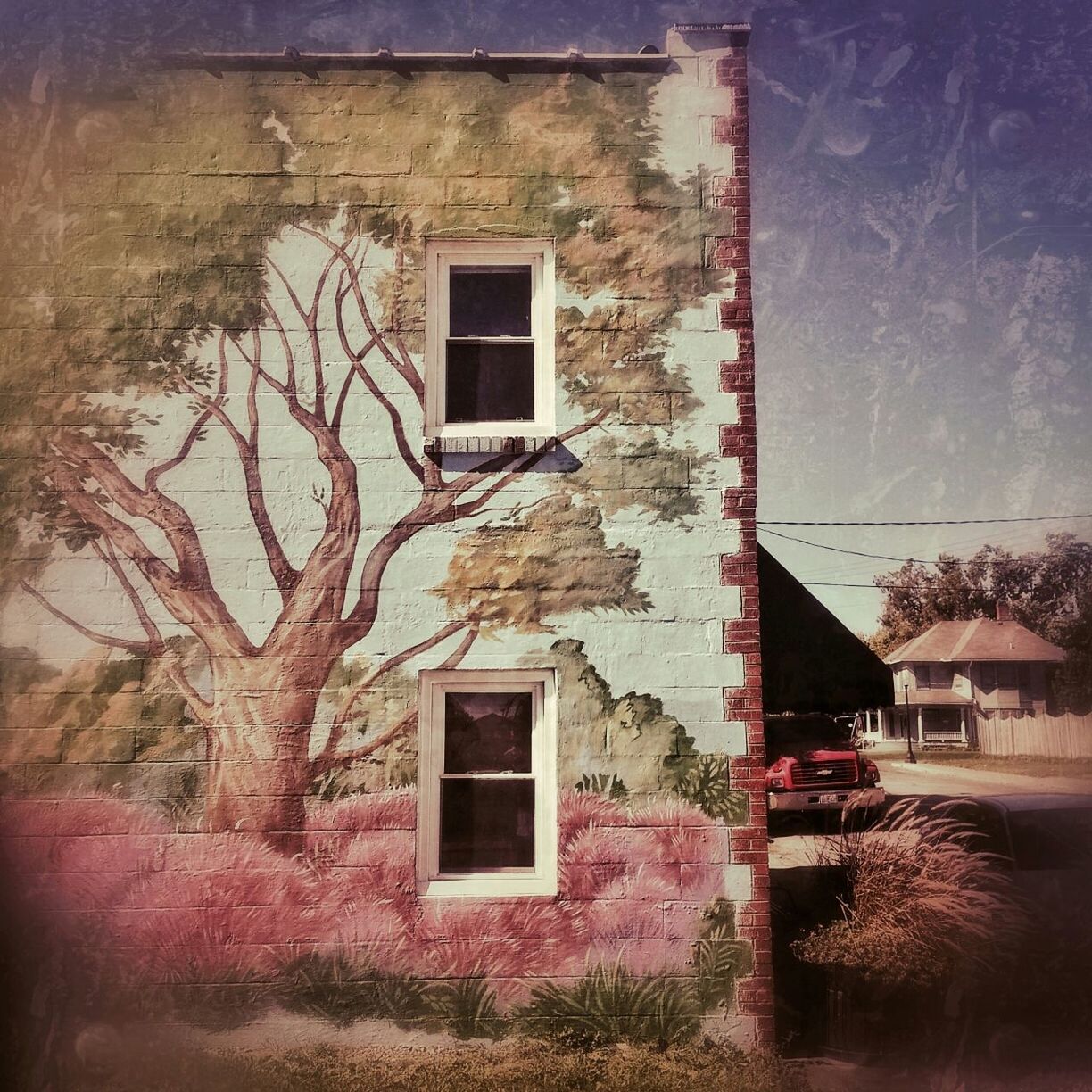 architecture, building exterior, built structure, window, house, residential structure, residential building, old, wall - building feature, abandoned, wall, weathered, day, damaged, no people, building, outdoors, brick wall, sunlight, plant