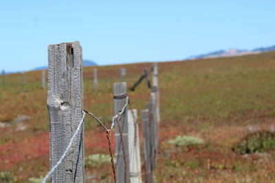 Wooden fence on field against clear sky