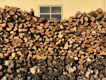 Stack of logs wood