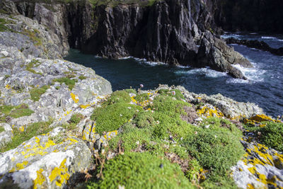 Scenic view of rocks in sea