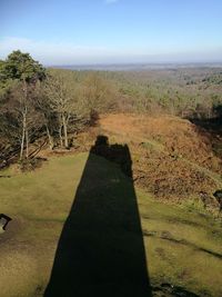 Shadow of tree on landscape against sky