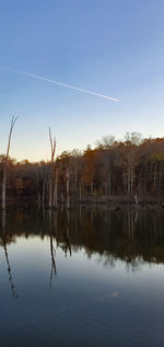 Reflection of trees in lake against blue sky