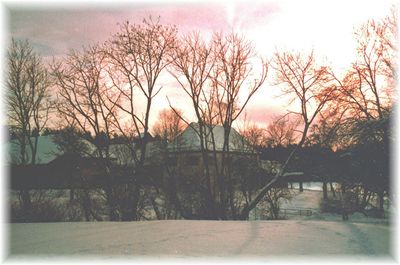 Bare trees against sky at sunset