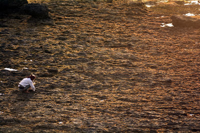 High angle view of woman standing on land
