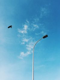 Low angle view of bird flying against blue sky