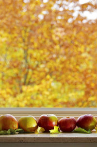 Close-up of apples on field during autumn