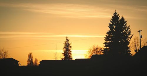 Low angle view of silhouette trees against sky at sunset