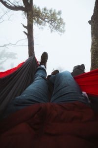 Low section of man relaxing on hammock