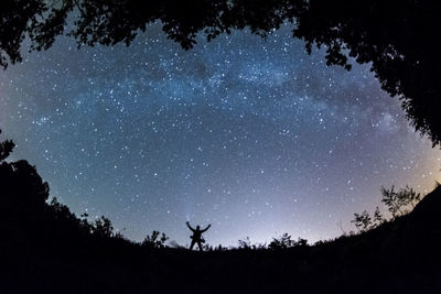 Low angle view of silhouette trees against sky at night