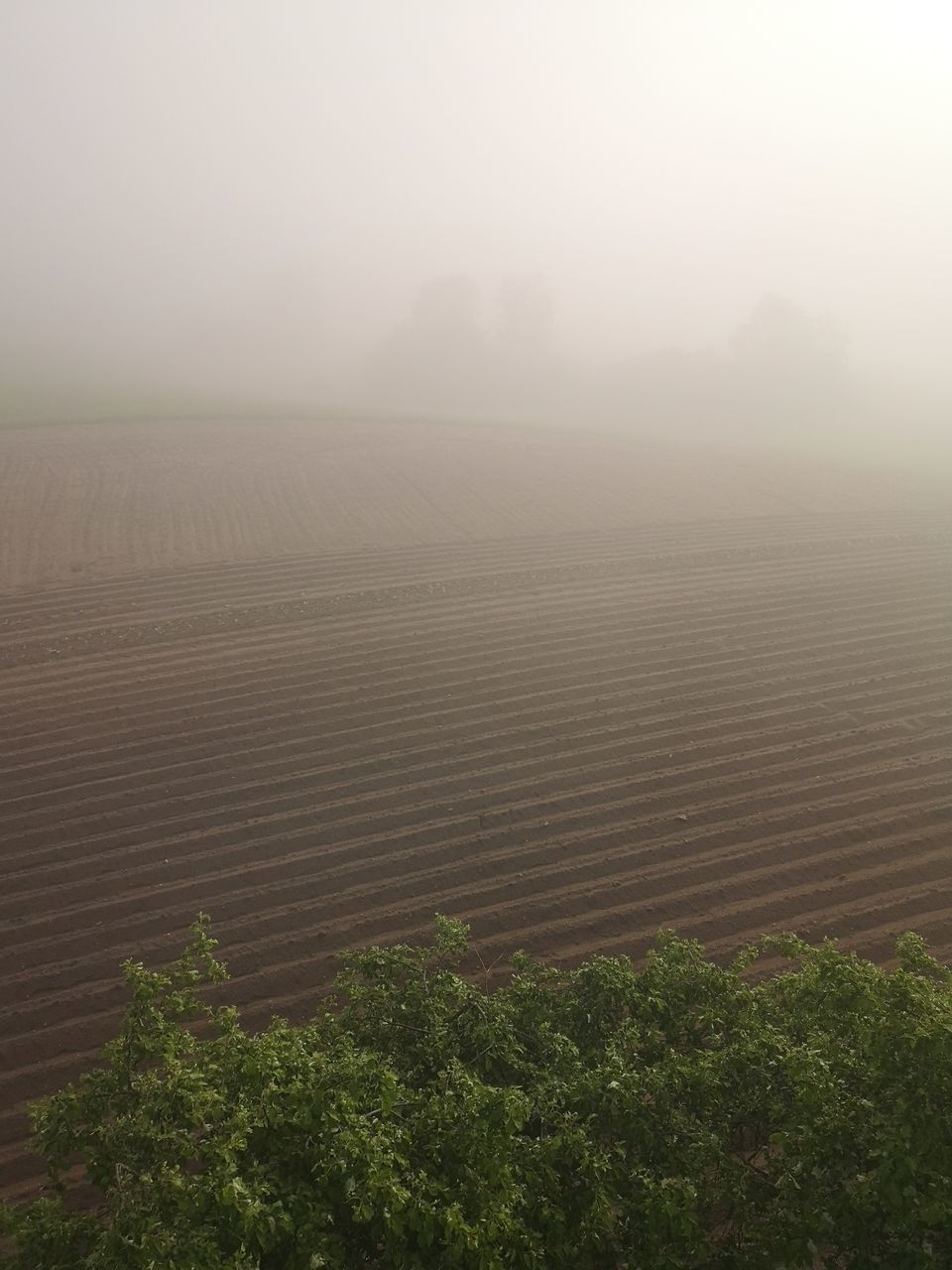 SCENIC VIEW OF LAND AGAINST SKY