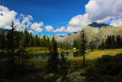 Scenic view of lake in forest against sky