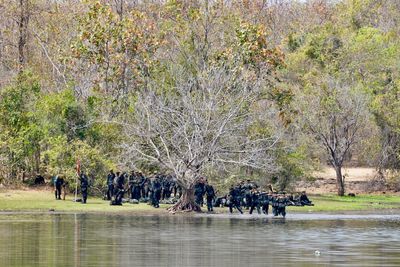 People on riverbank by trees