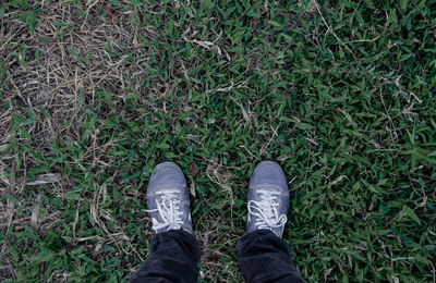 Low section of person standing on field