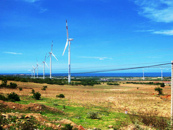 Plants growing on landscape against blue sky