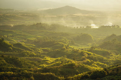 High angle view of landscape