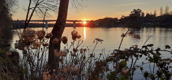 Scenic view of lake against sky during sunset