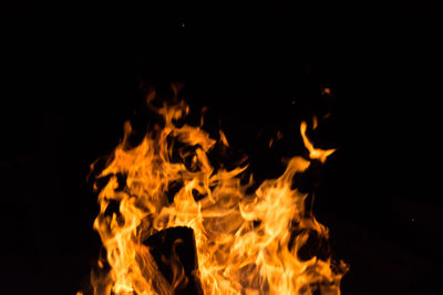 Close-up of bonfire at night