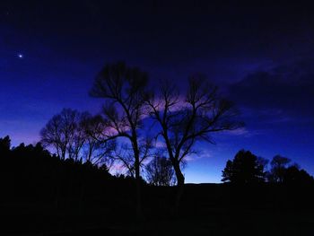 Low angle view of bare trees against blue sky