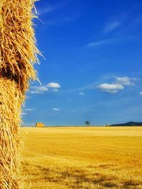 Scenic view of field against cloudy sky