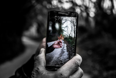 Close-up of hand holding camera