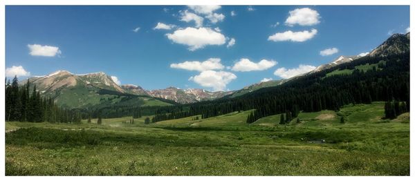 Scenic view of green landscape against sky