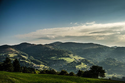 Scenic shot of trees on landscape against mountain range