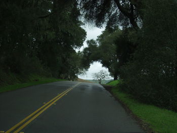 Empty road along trees