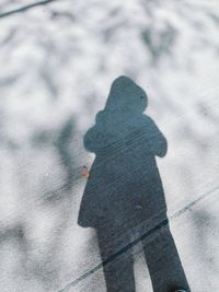 Rear view of man shadow on ground