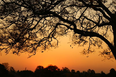 Low angle view of silhouette trees against sky during sunset