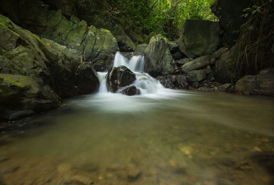 Scenic view of waterfall in forest