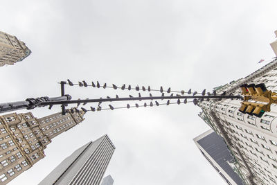 Low angle view of birds against sky