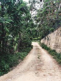 Dirt road amidst trees in forest