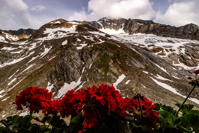 Scenic view of snow covered mountain against sky