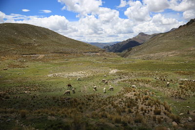 Scenic view of landscape against sky