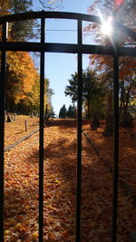 Fence by trees against sky