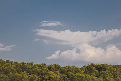 Low angle view of trees against sky