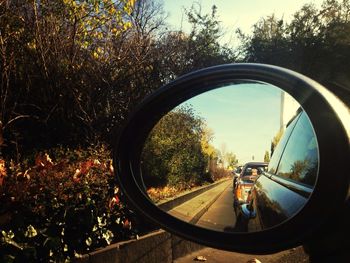 Reflection of trees in side-view mirror