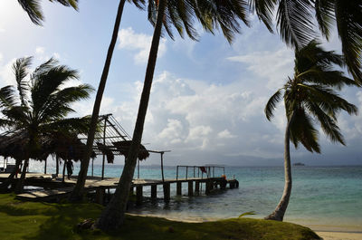 Palm trees at beach against cloudy sky