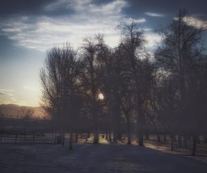 Bare trees on snow field against sky during sunset