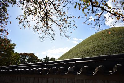 Low angle view of cherry blossoms on roof against sky