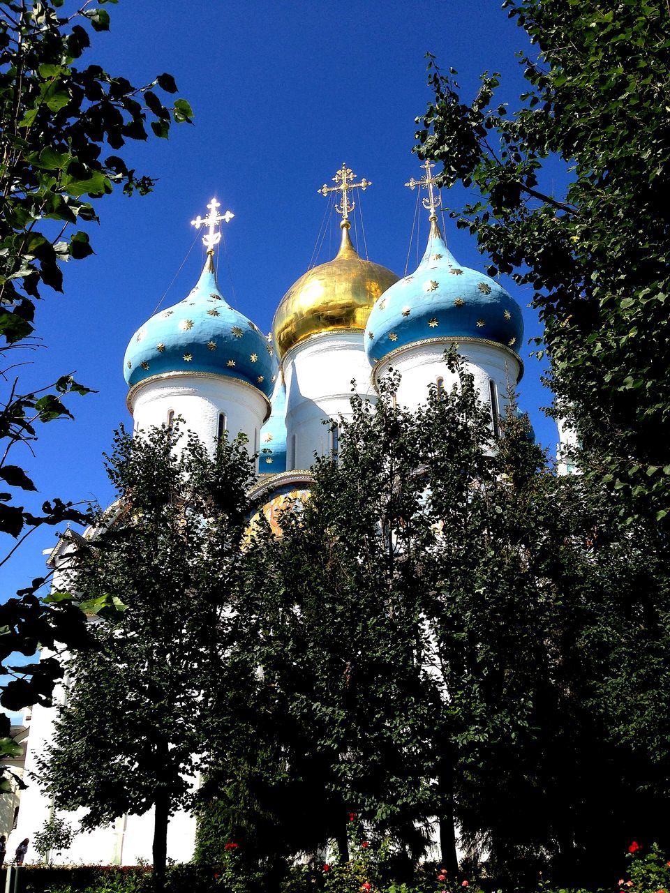 LOW ANGLE VIEW OF CROSS AGAINST TREES