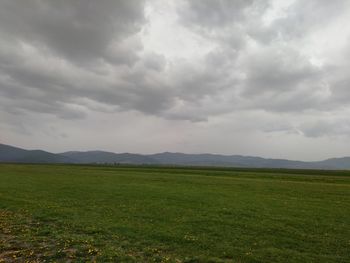 Scenic view of field against sky