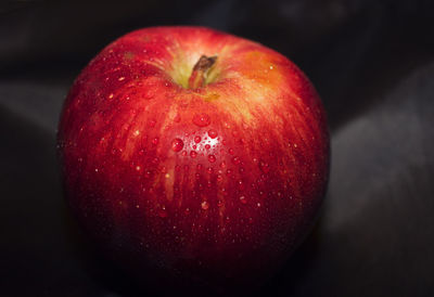 Close-up of apple against black background