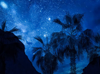 Low angle view of silhouette palm trees against blue sky